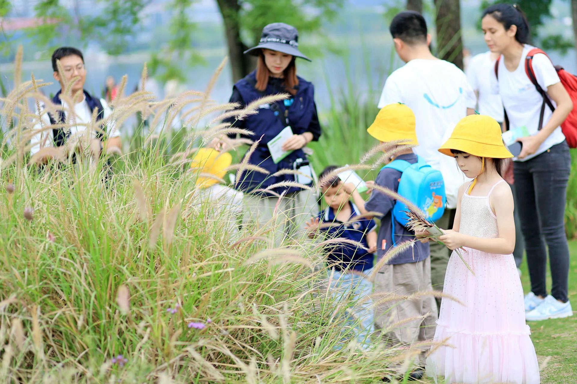 6731������Ϸ��(�й���)�ٷ���վ